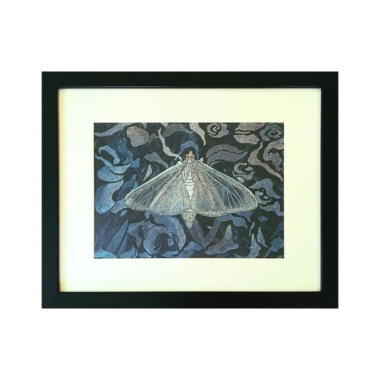 Satin White Moth