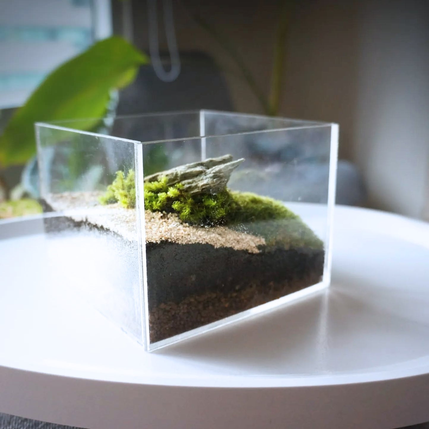 Acrylic Cube Miniature Landscape
