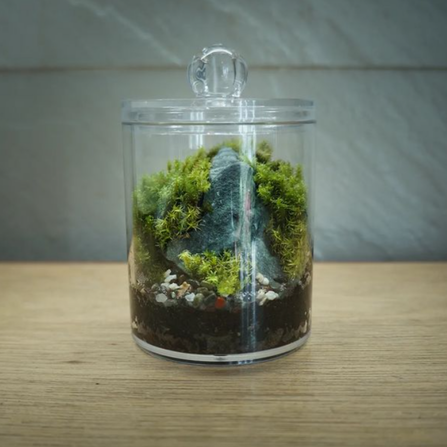 Regular Acrylic Miniature Landscape