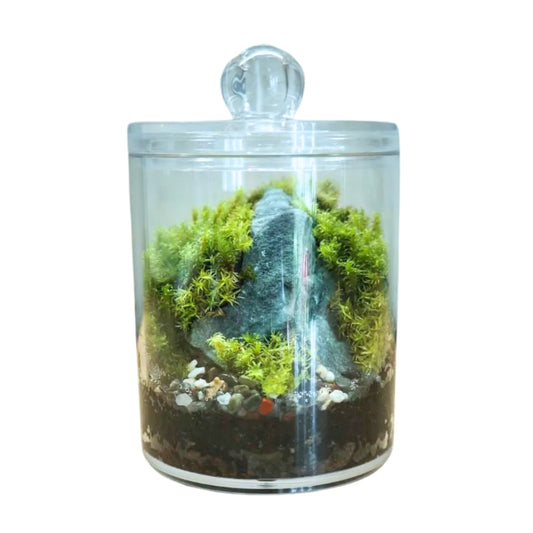 Regular Acrylic Miniature Landscape