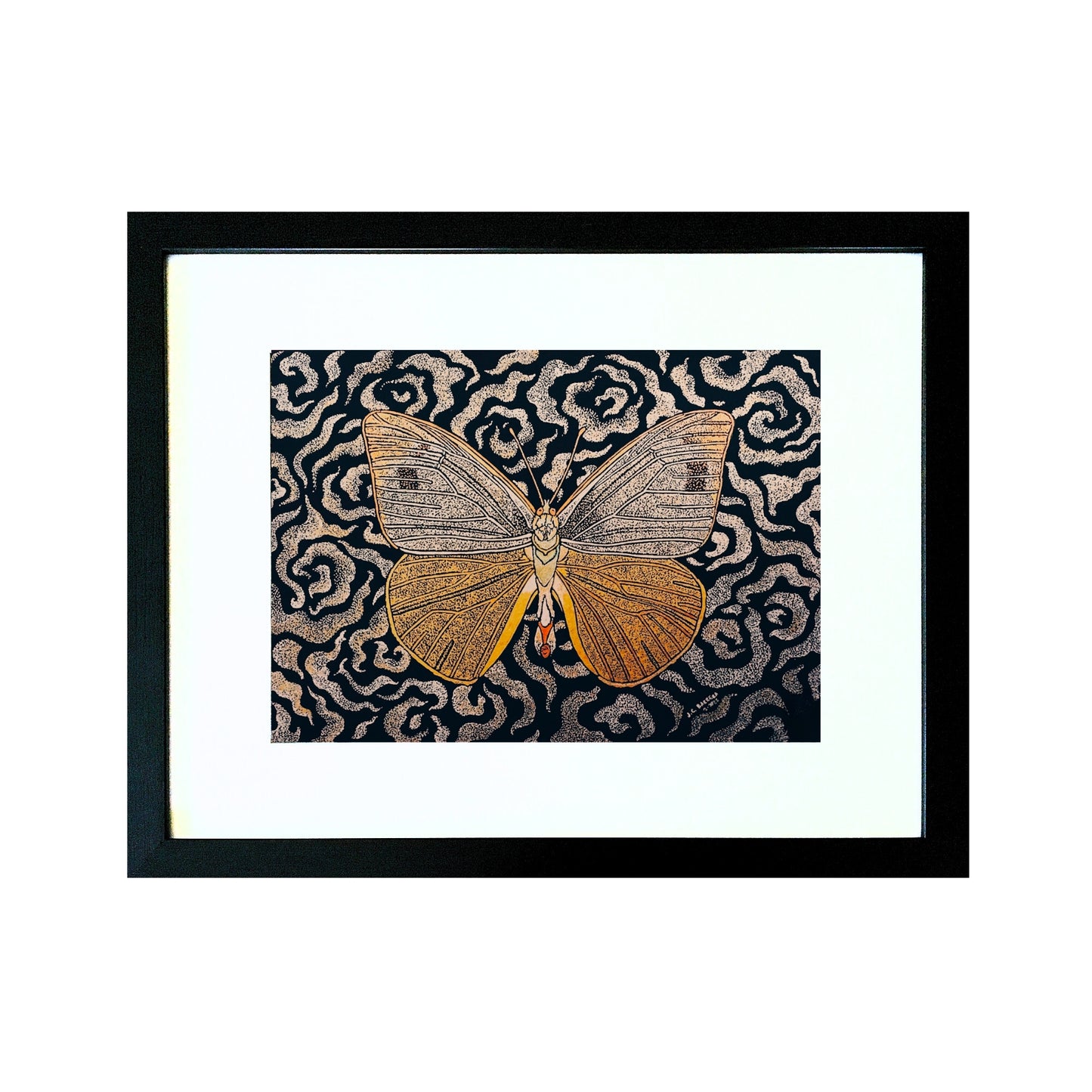 Appias Phoebe