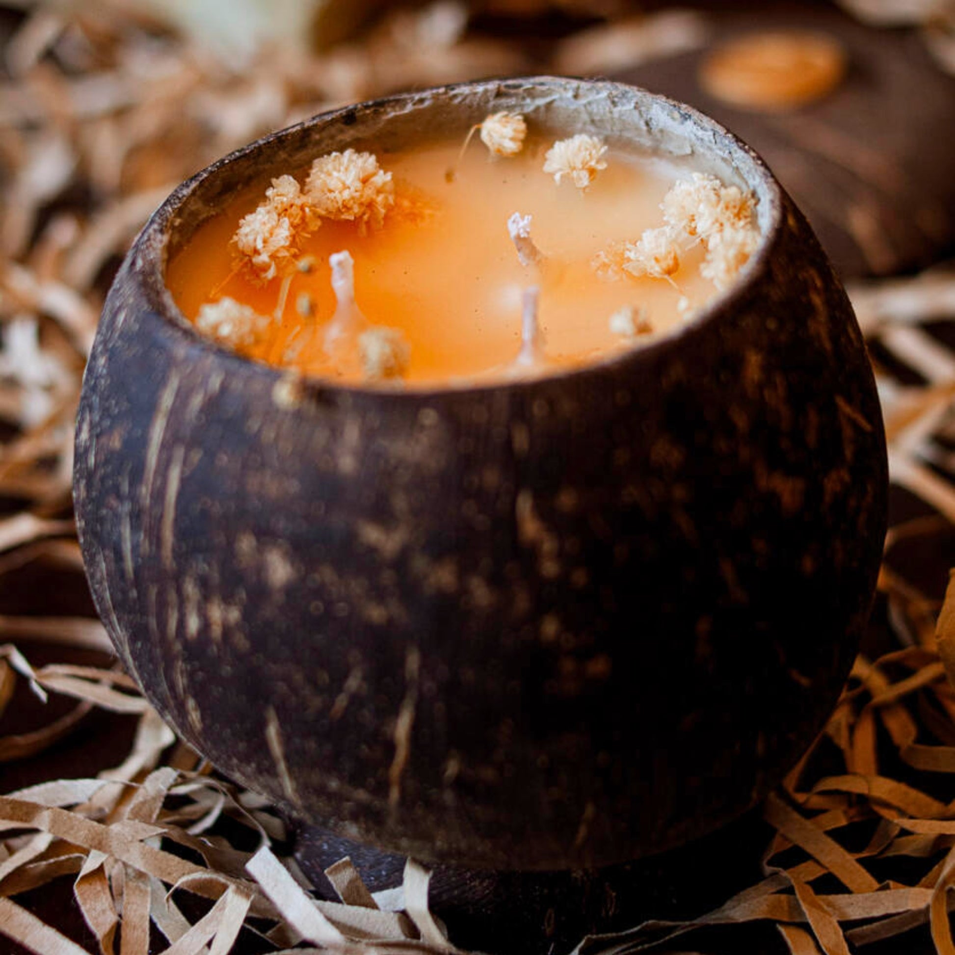 White Tea Ginger : Quiet Morning