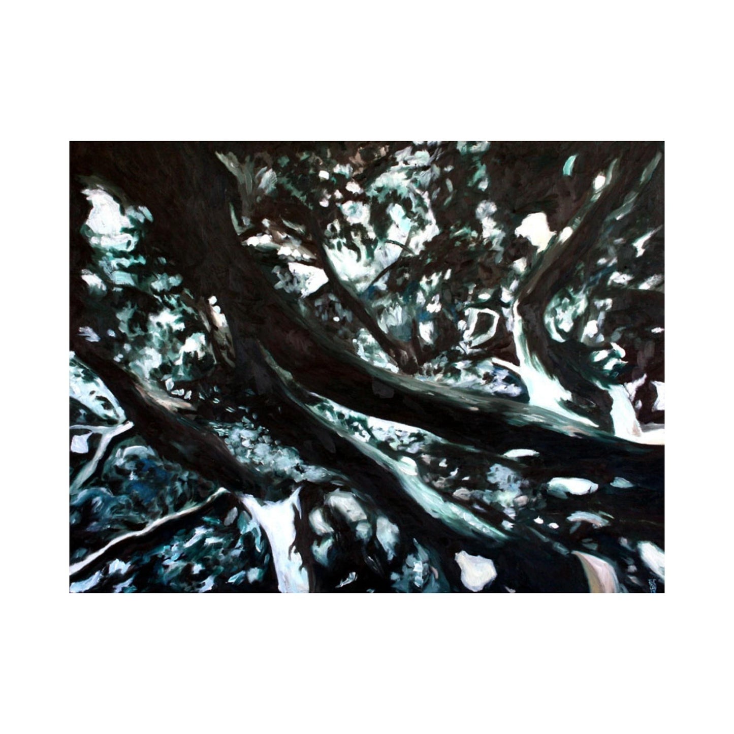 Canopy