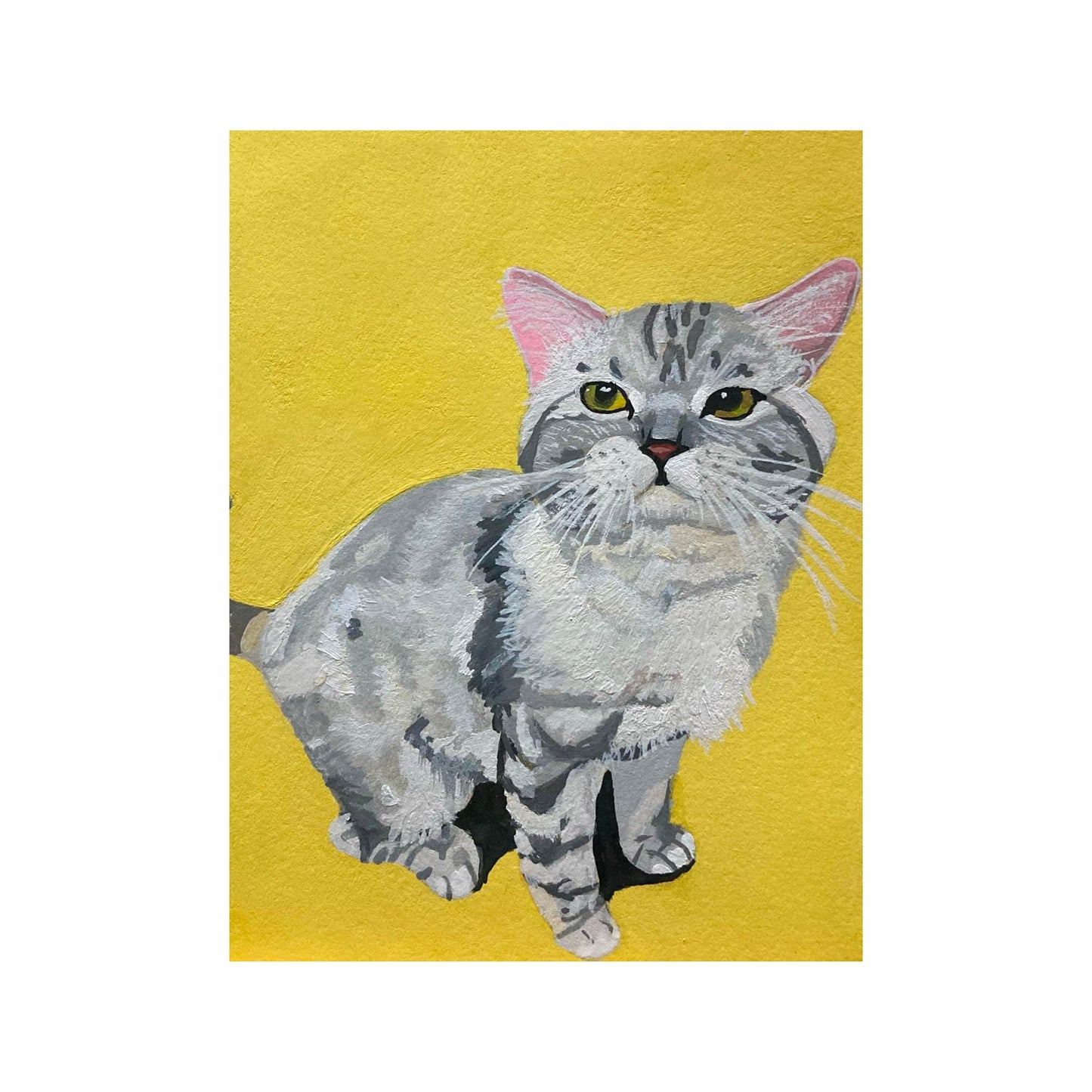 Pet Portraits
