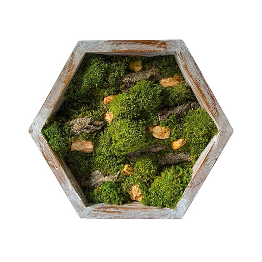 Hive Moss Art Frame