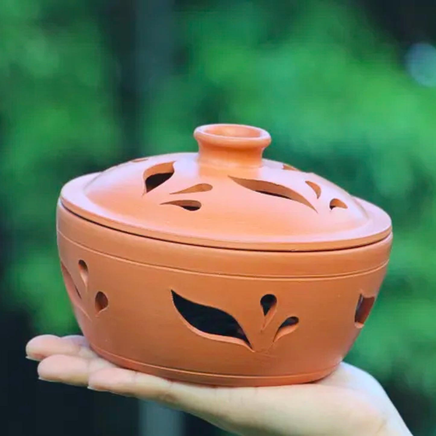 Mosquito Repellant