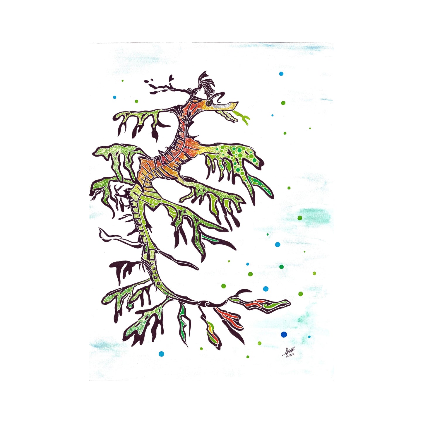 Leafy Sea Dragon: Limited Edition Print