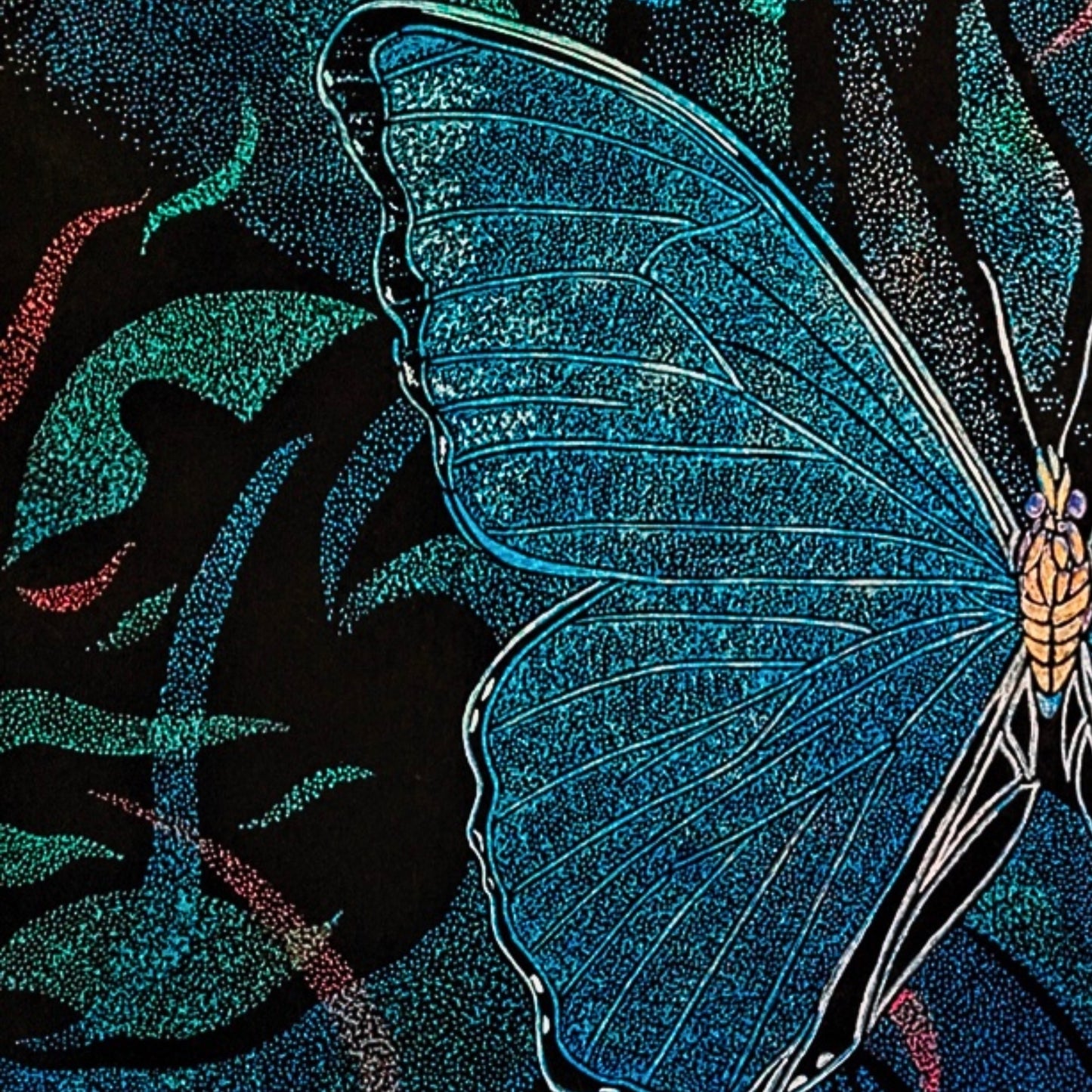 Morpho