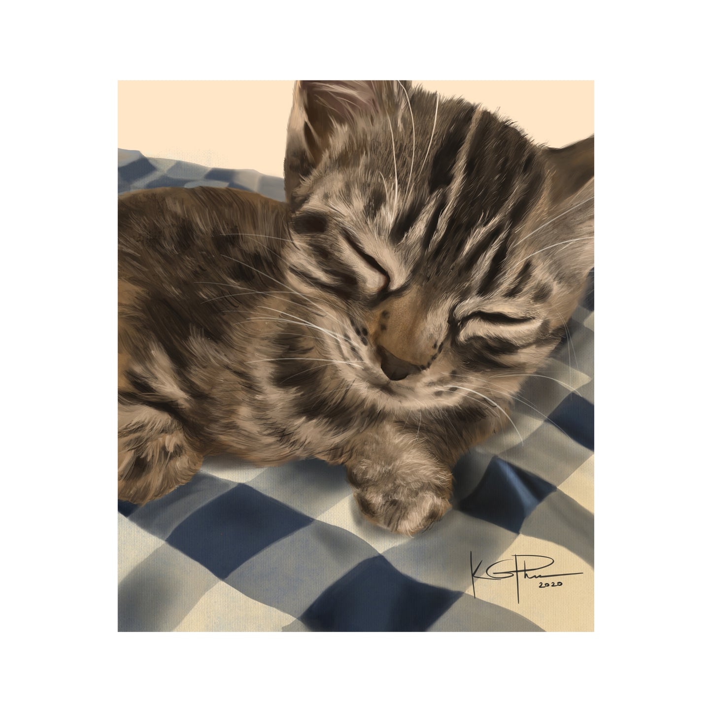 Pet Cat