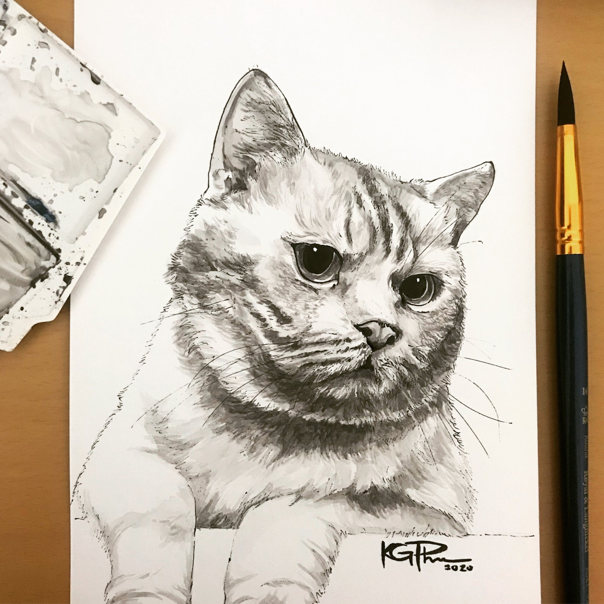 Ink Pen Drawing of Pet