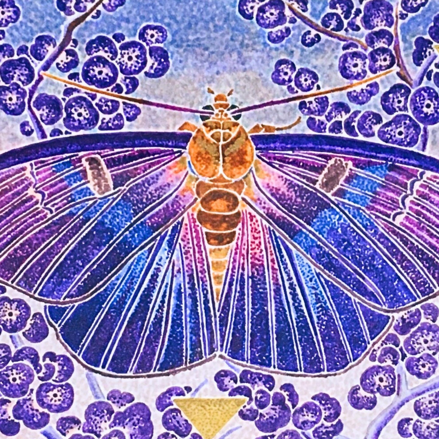 Purple Butterfly
