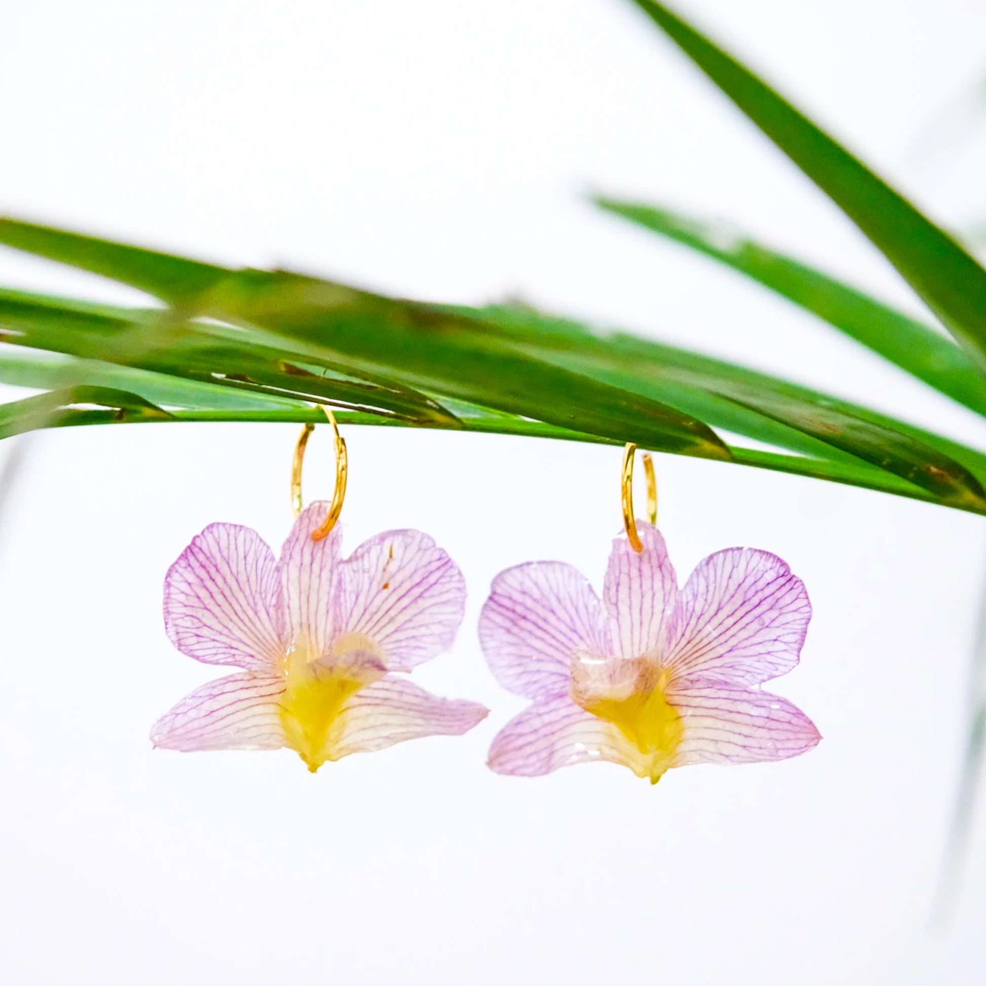 Sunny Label: Resin