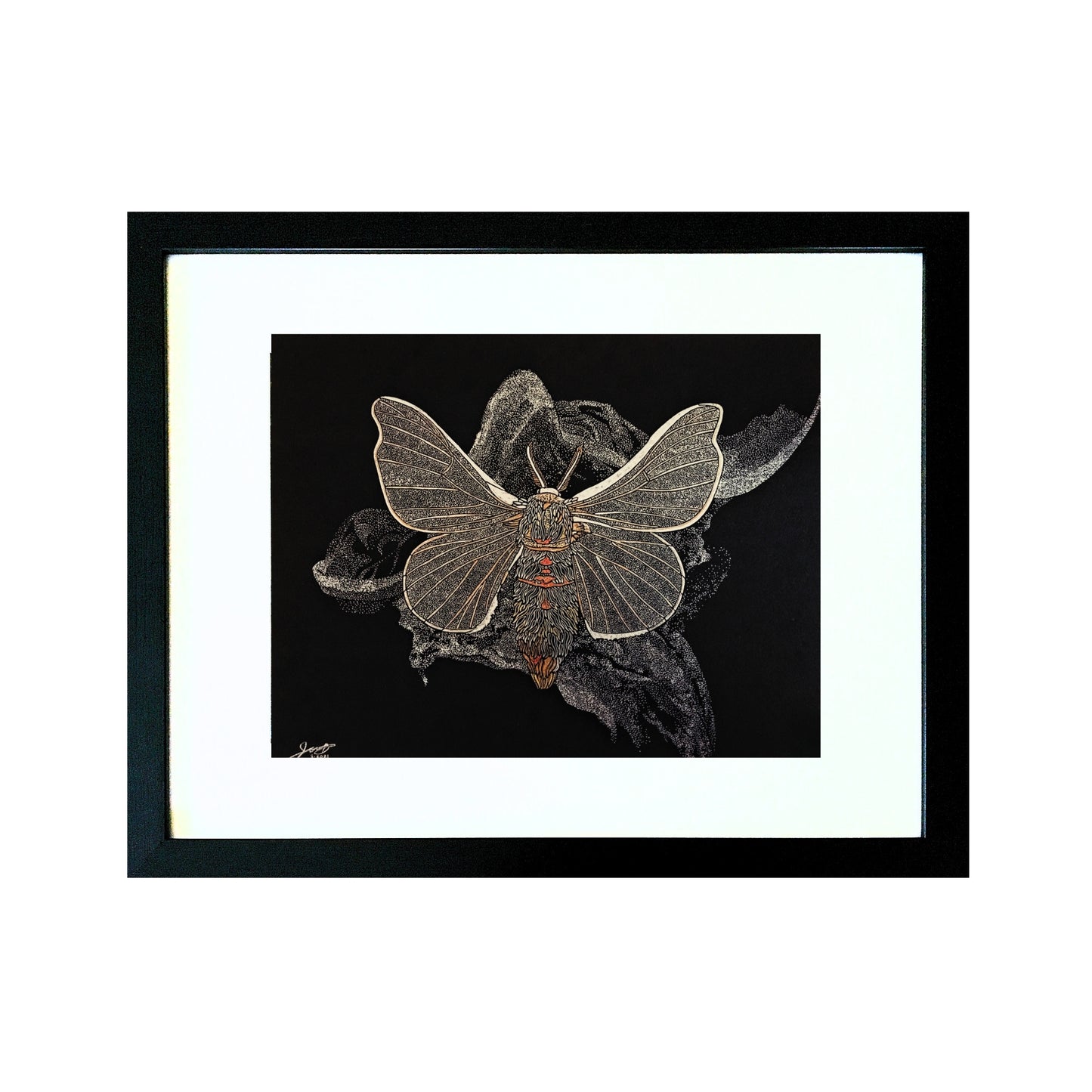 Silk Moth