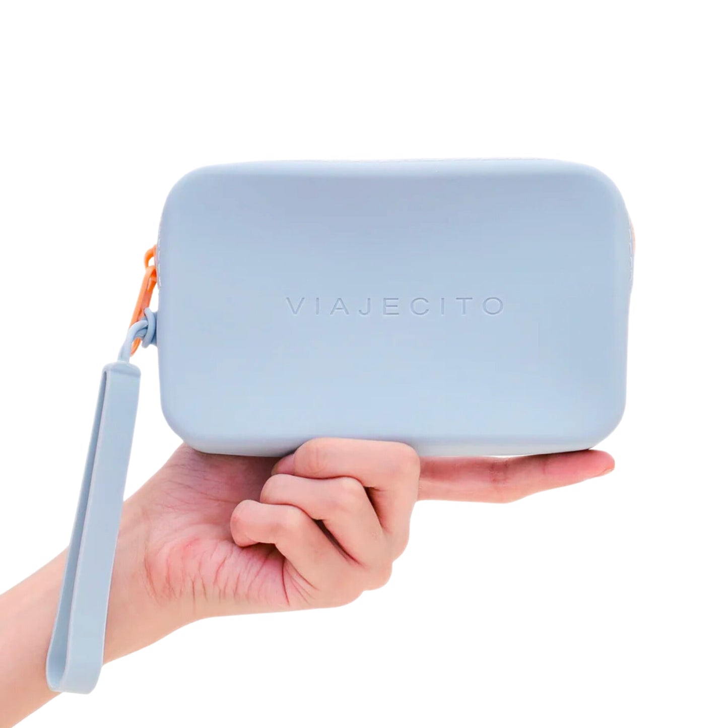 Baby Blue Clutch Purse
