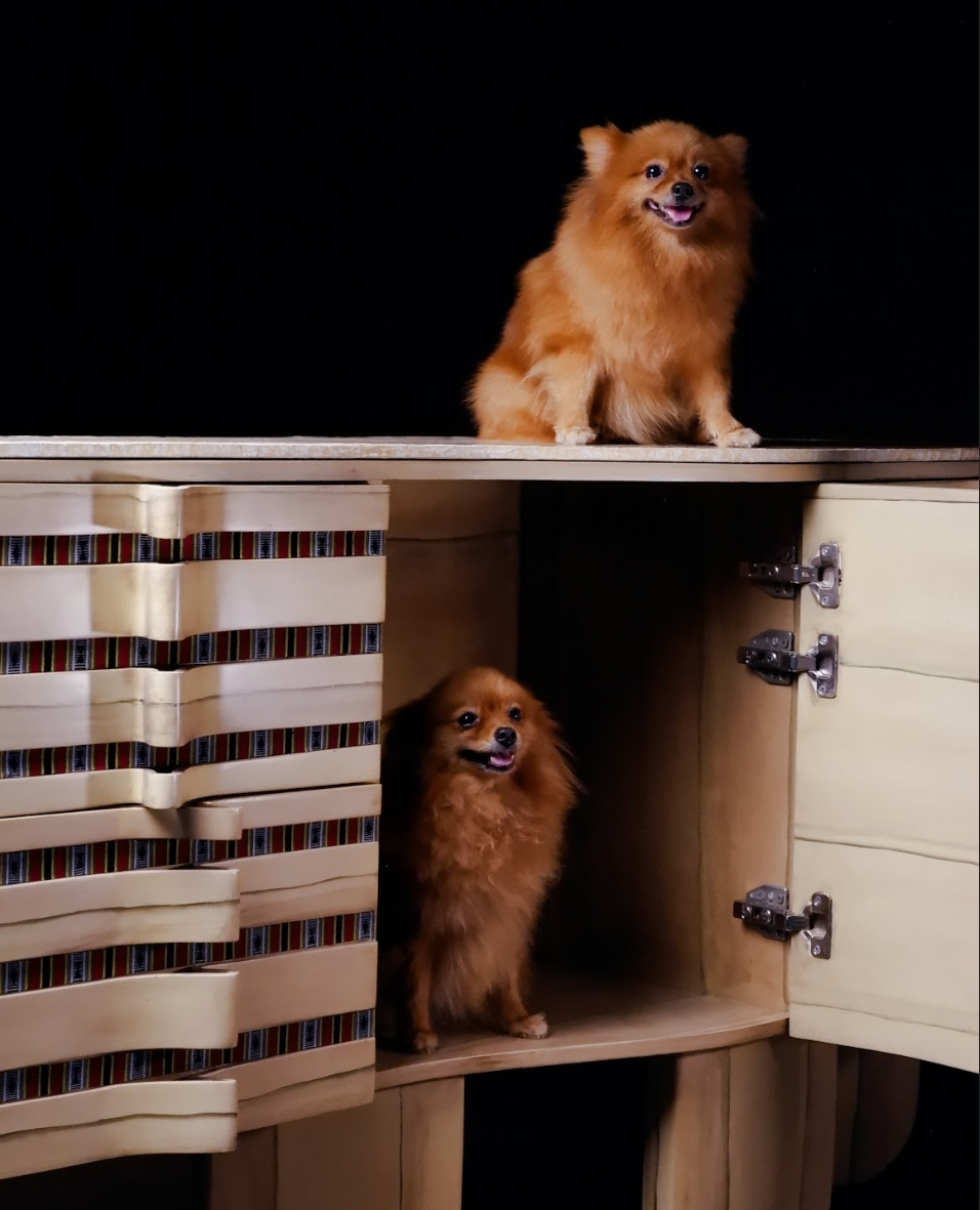 Alon Cabinet