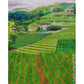 Fields of Benguet Postcard