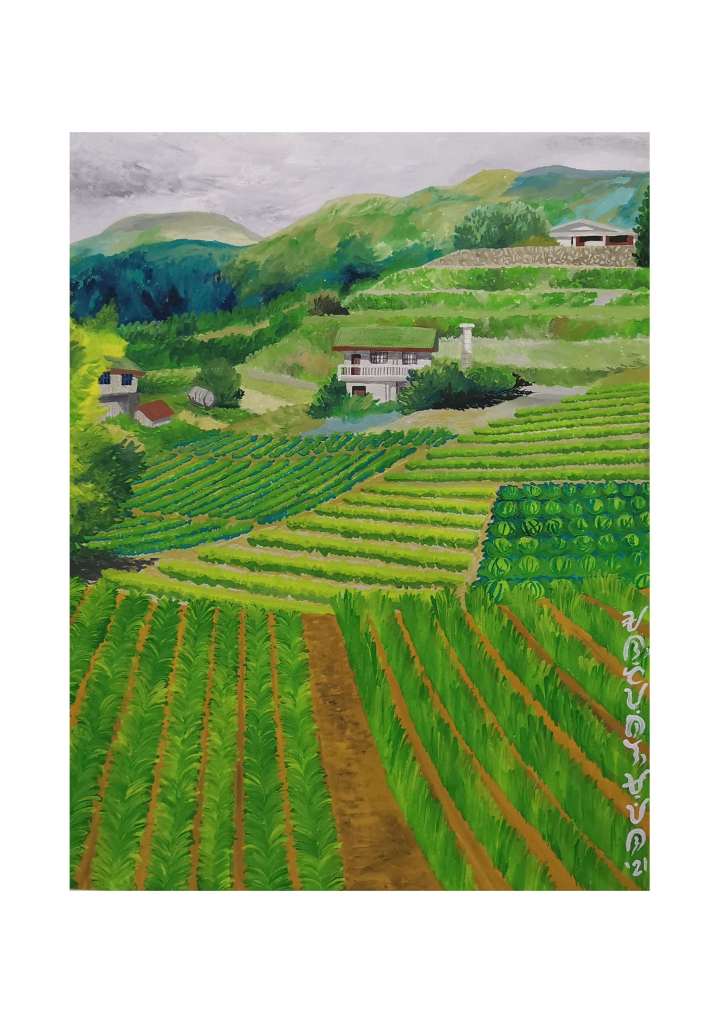 Fields of Benguet Postcard