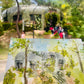 The Botanical Orchidarium