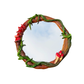 Mushroom Clay Mirror