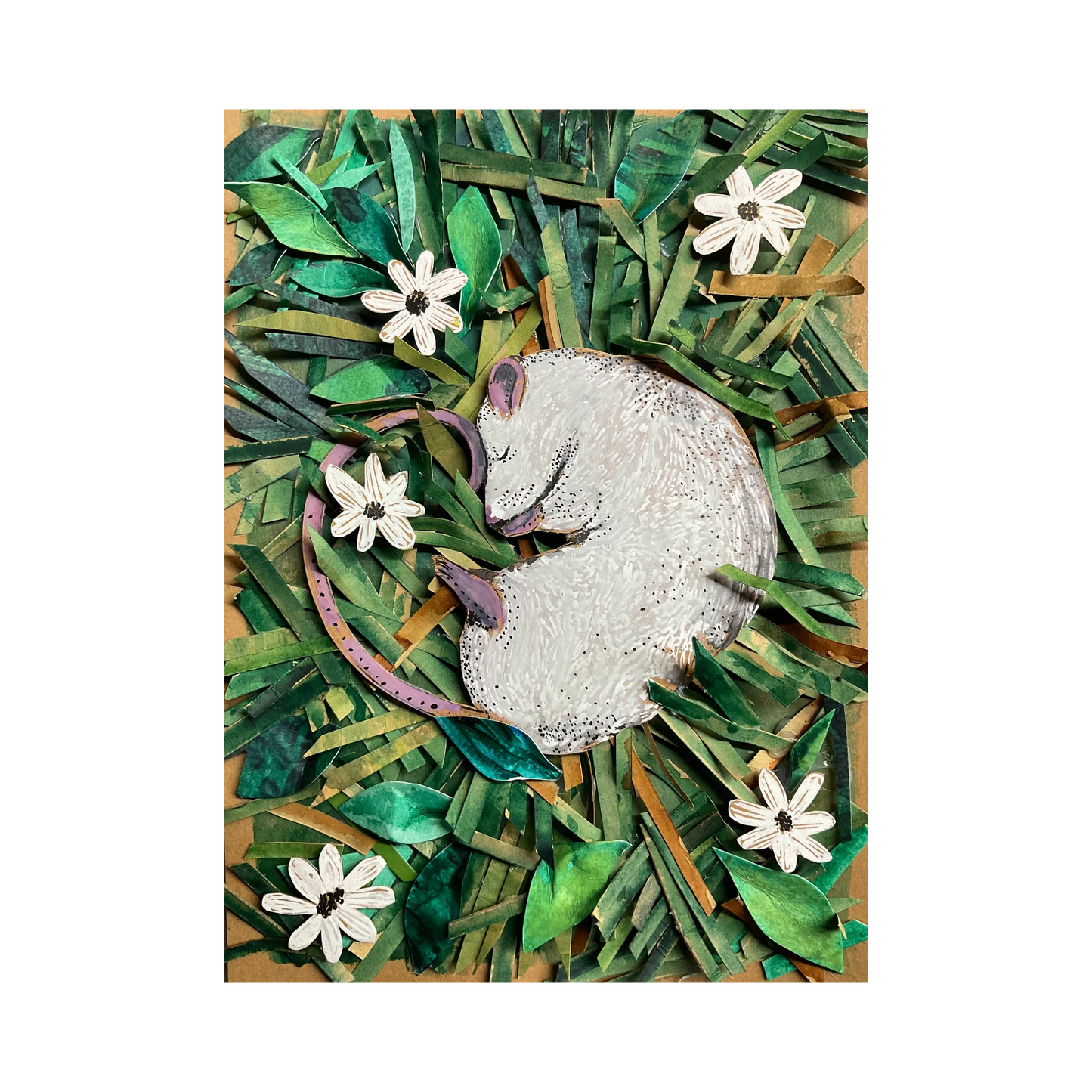 Flowers For Algernon Postcard