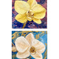 Blooming Through the Seasons (Mini)