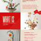 MA Workshops (July 25-26)