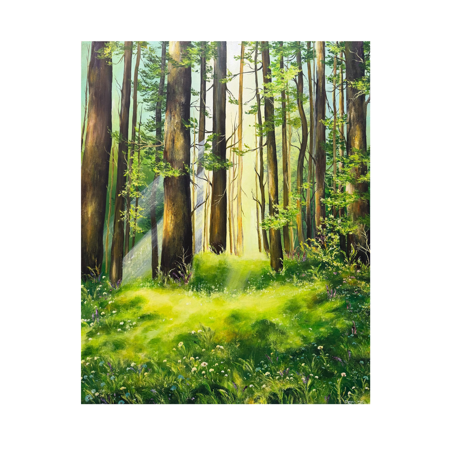 Lost in the Woods
