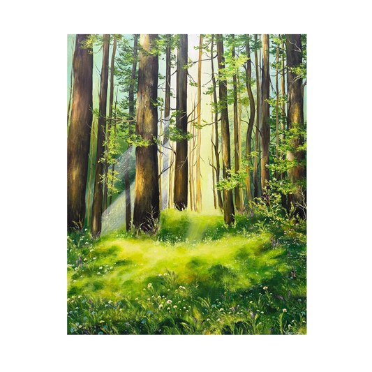 Lost in the Woods