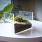 Acrylic Cube Miniature Landscape