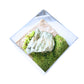 Acrylic Cube Miniature Landscape