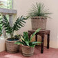 Ilokana Handicrafts Bien Buri Rattan Baskets