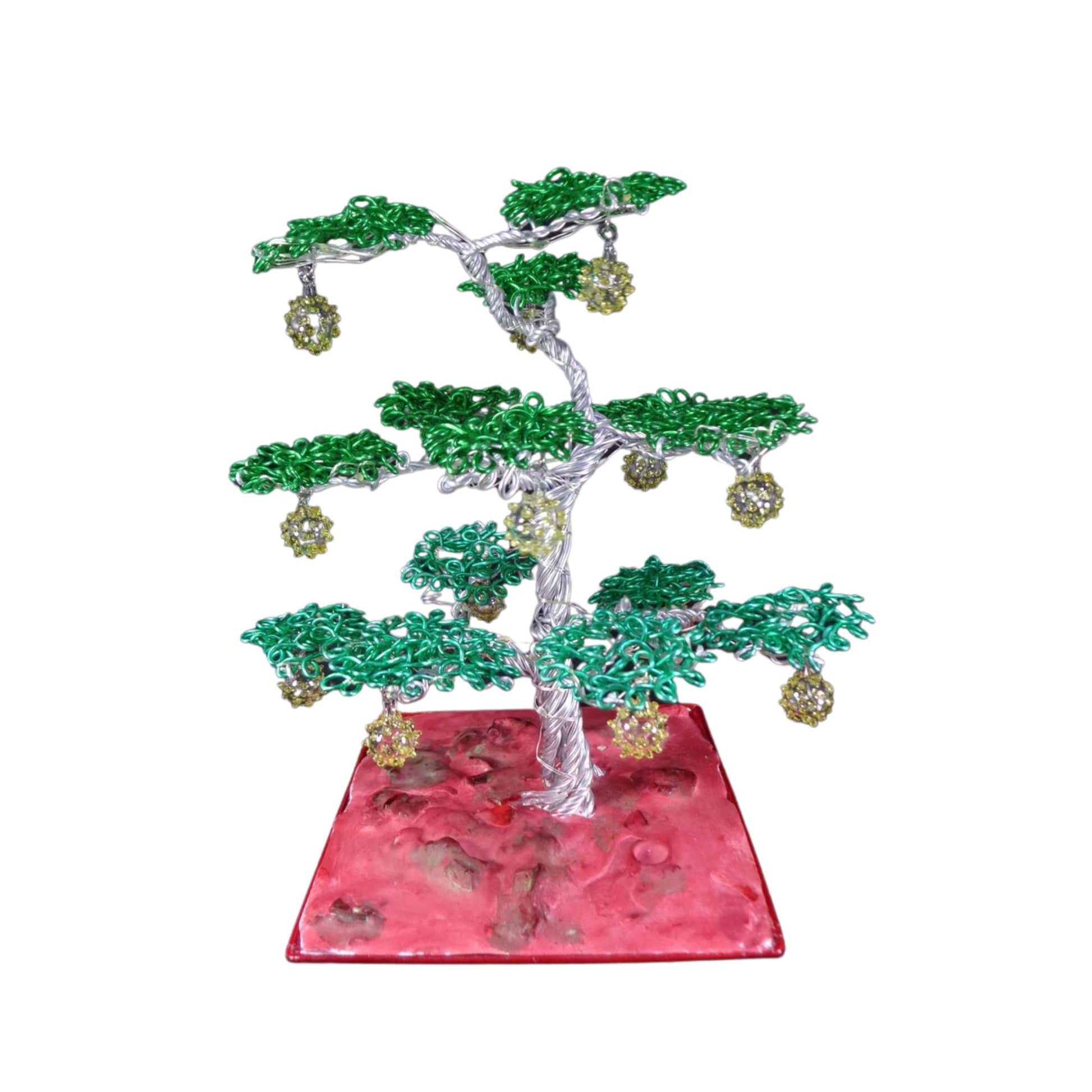 bonsai tree