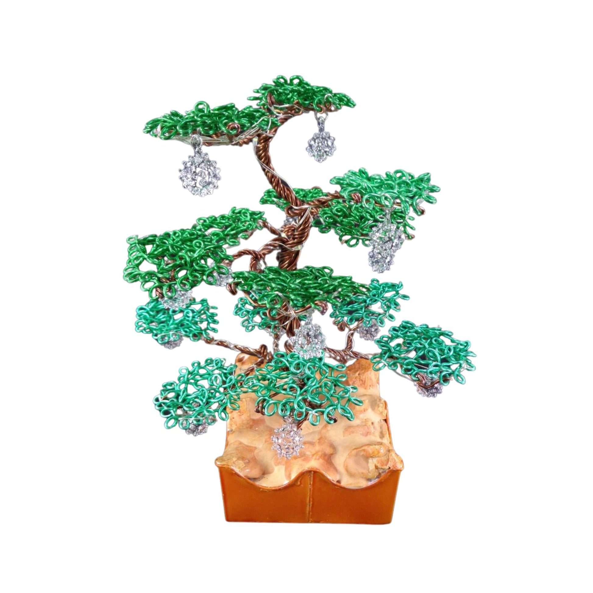 bonsai tree