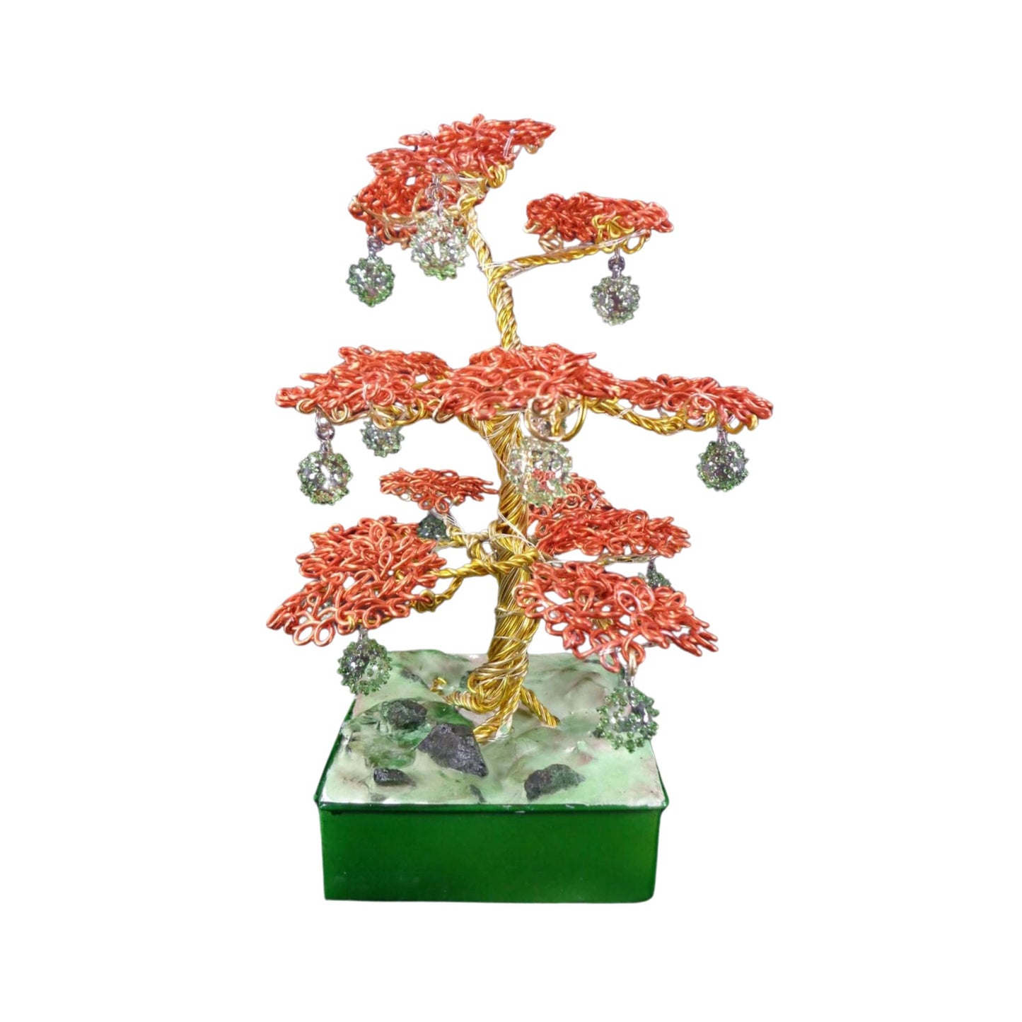 bonsai tree