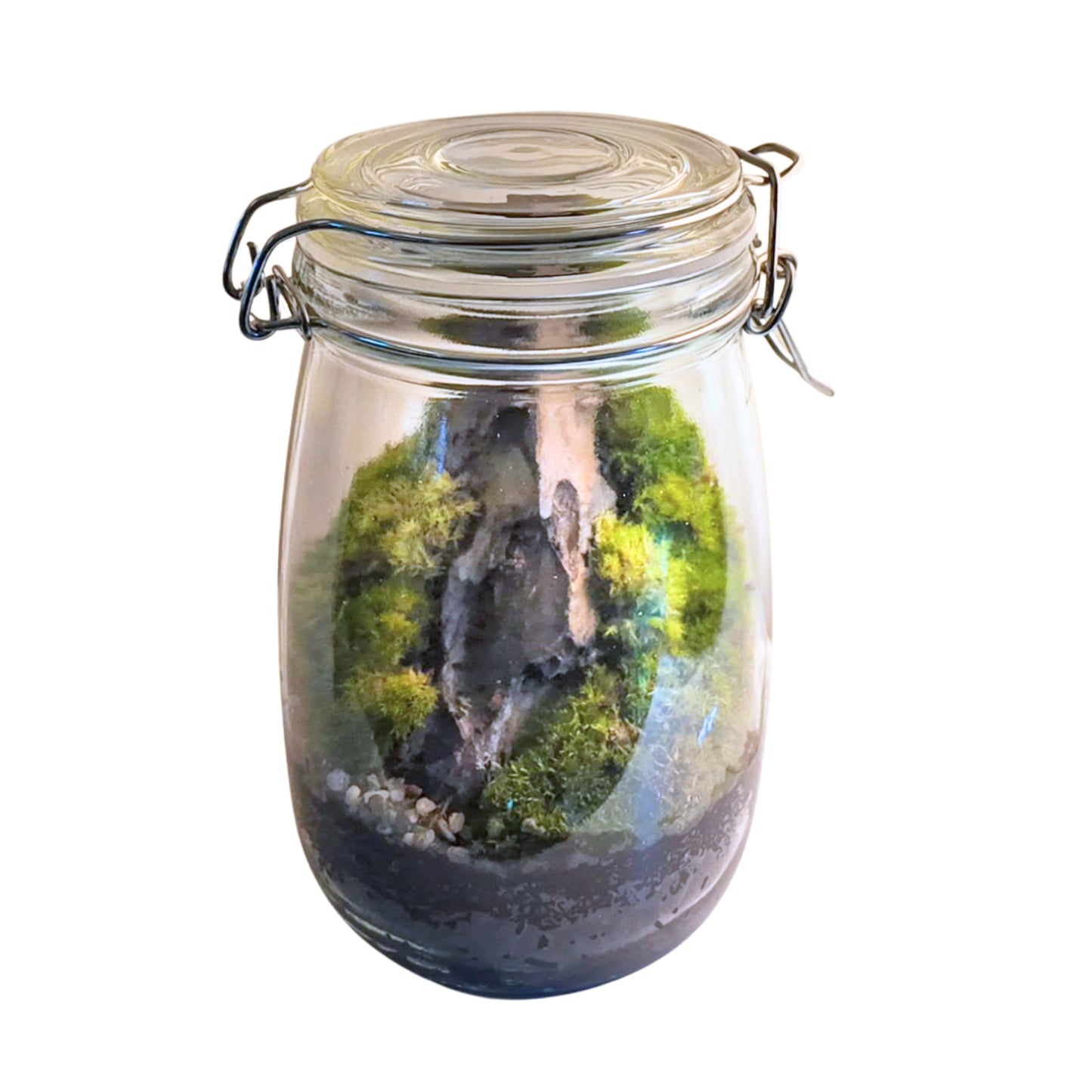 Glass Jar Miniature Landscape