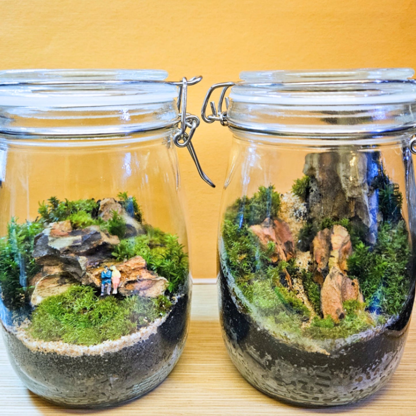 Glass Jar Miniature Landscape