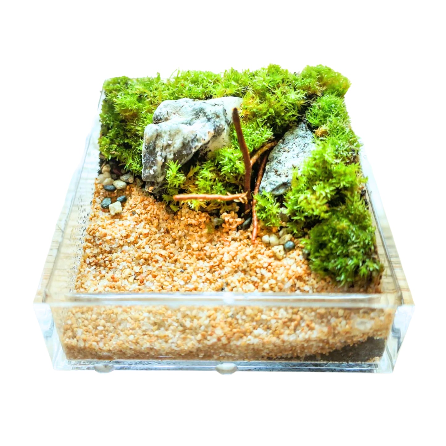 Grand Hexahedron Miniature Landscape