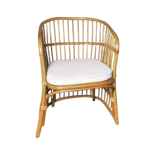 Rattan Home Chair 