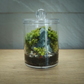 Regular Acrylic Miniature Landscape