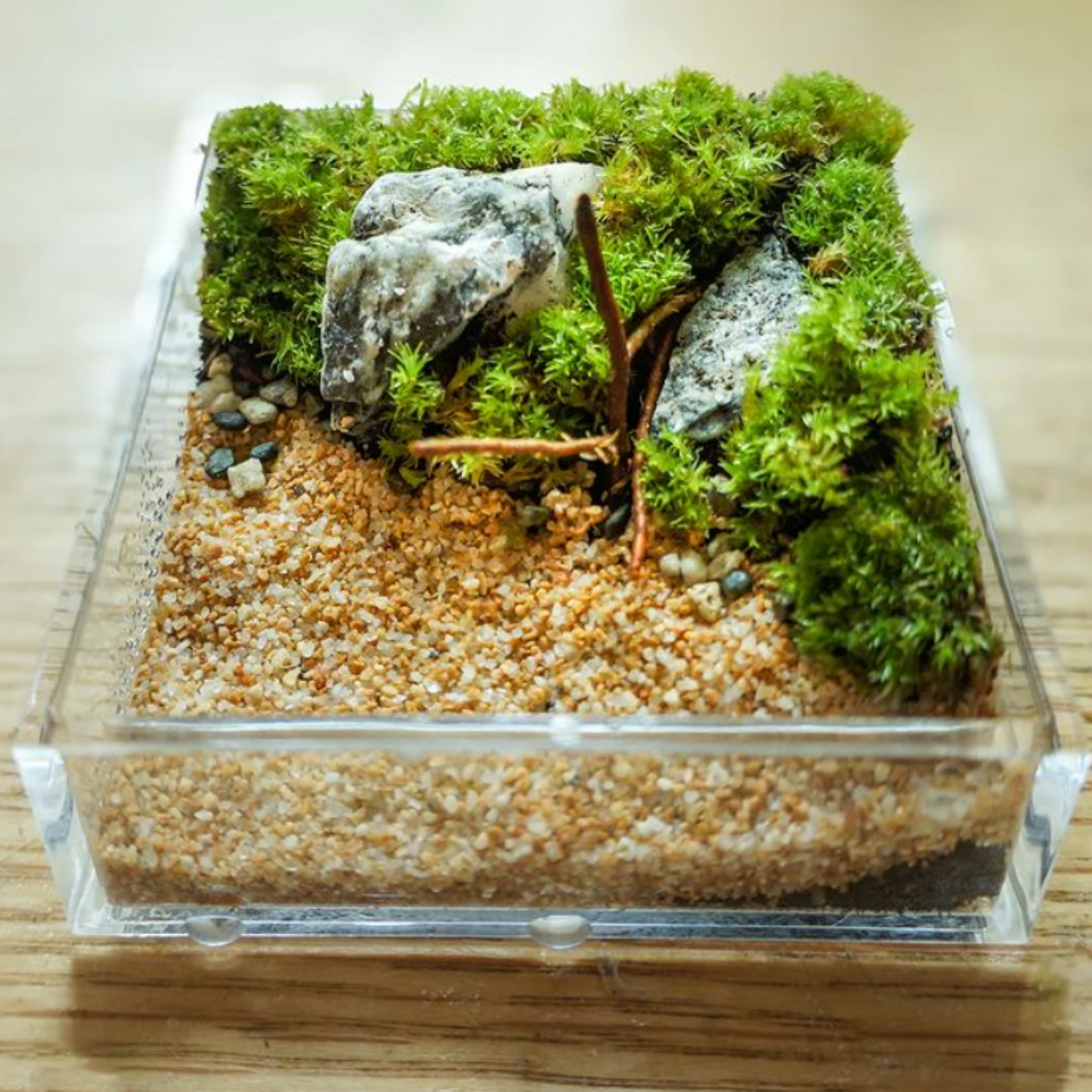 Grand Hexahedron Miniature Landscape