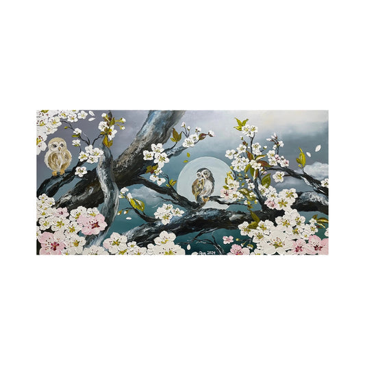 White Sakura Blooms