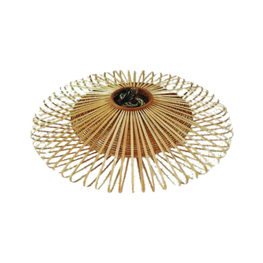Ceiling Pendant Light 