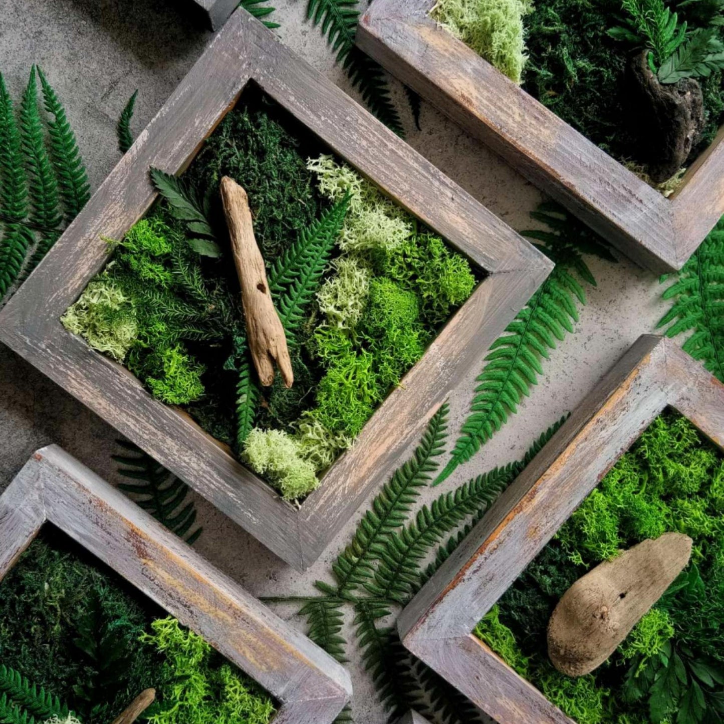Studio Habil : Wall Decoration Moss Plants