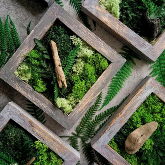 Marvin Conti: Moss Art Commissions • Likhaan