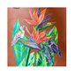 Flora & Fauna 1