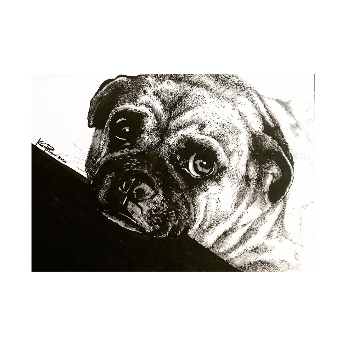 Ink Drawing of Pet