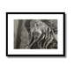 Davy Jones