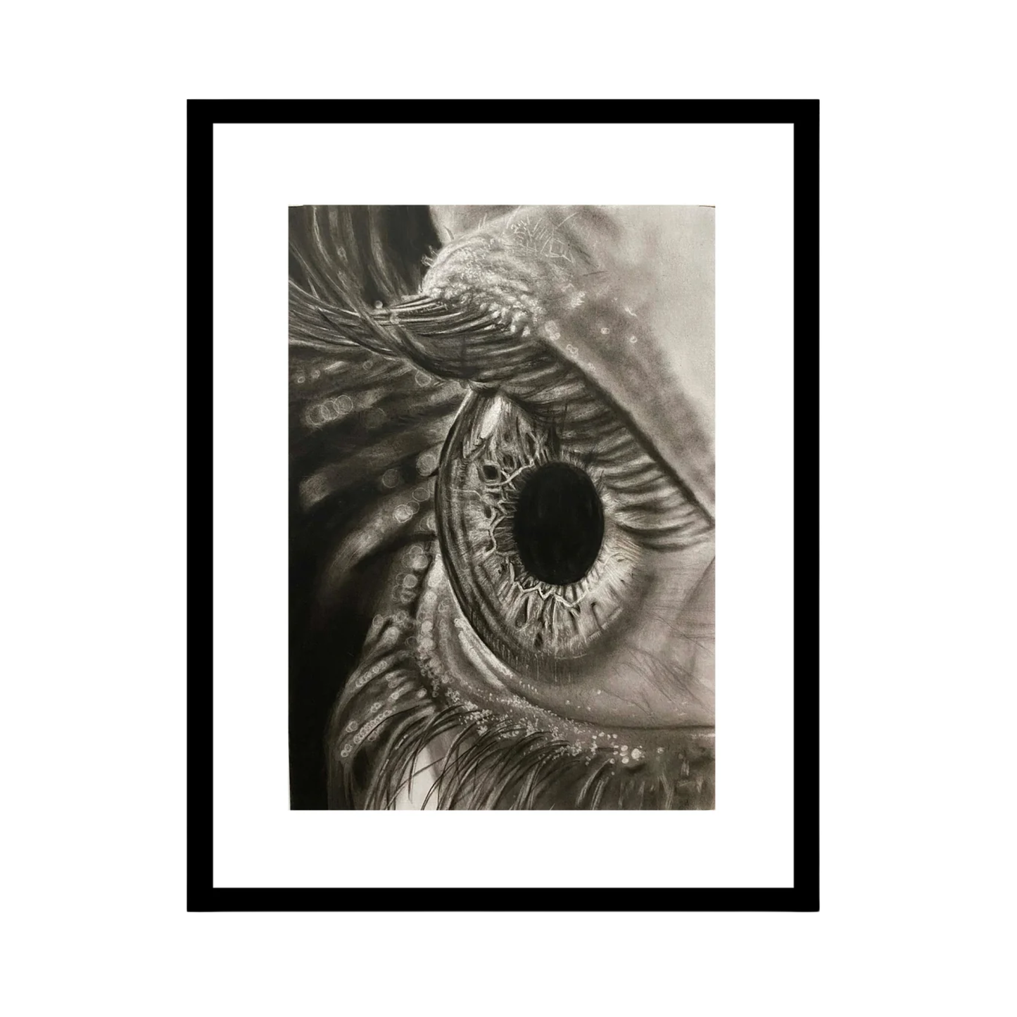 Windows of the Soul