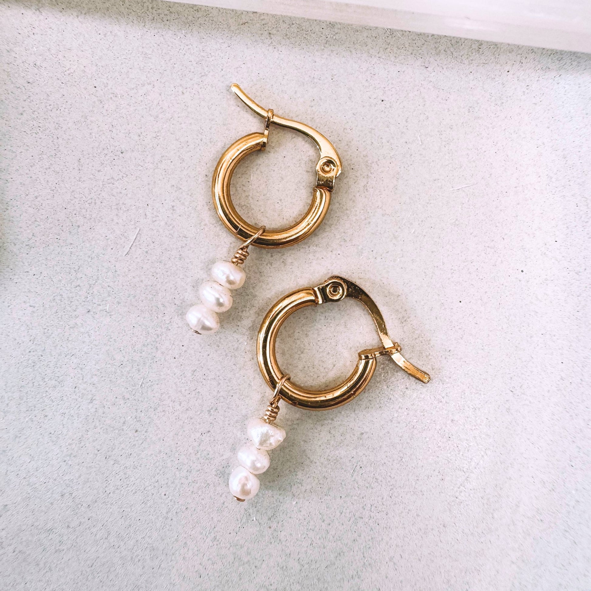 Hoop Earrings : Gift Ideas for Her