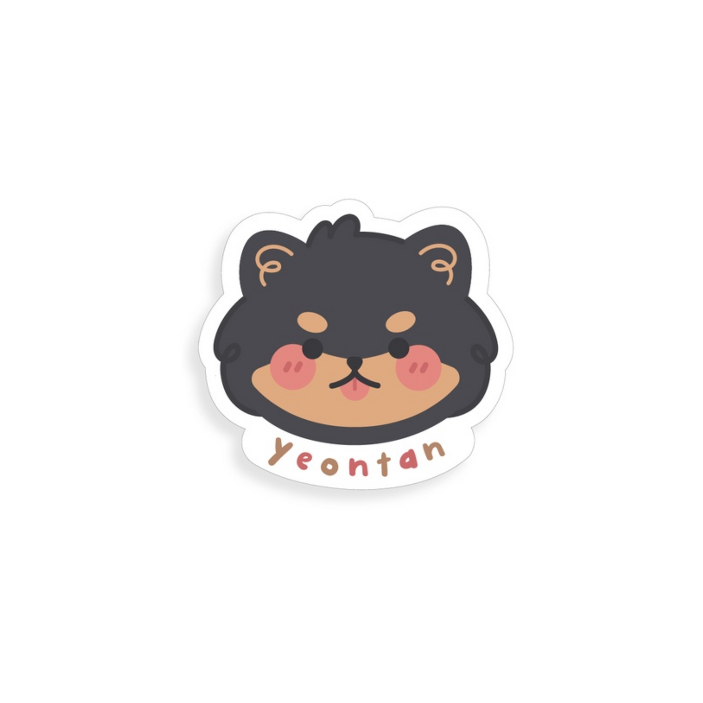 Solo BTS/ BT21 Waterproof Stickers